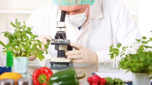 Food Products Testing Services